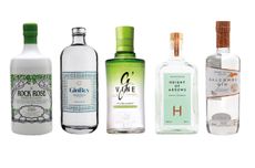 Five bottles of gin against a white background