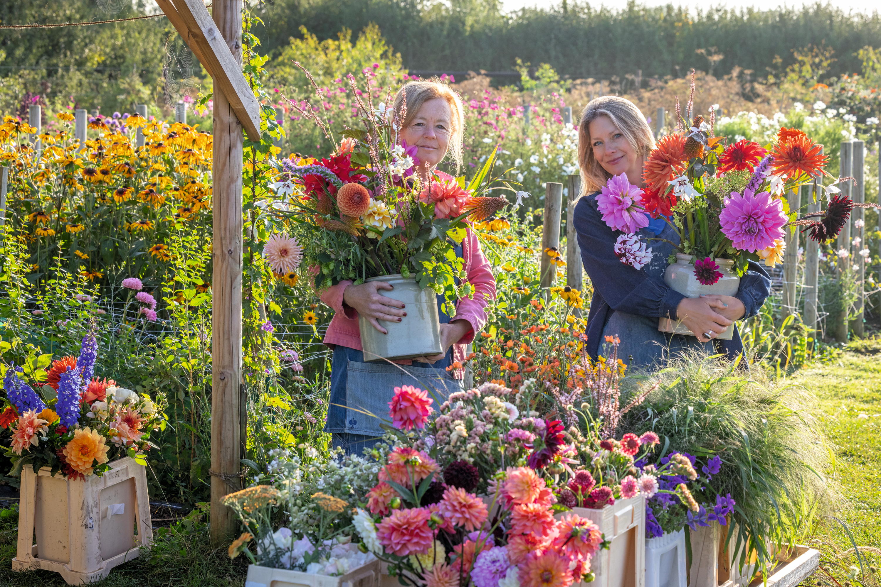 Chippy Flower Farm in Oxfordshire