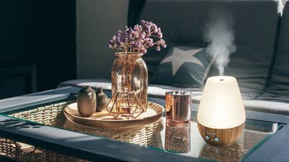 Beurer LA 40 aroma diffuser review