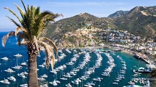 Santa Catalina Island