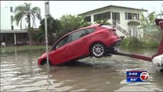 Miami-Dade, Broward residents battle king tide flooding.