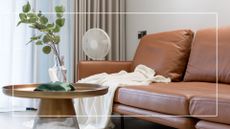 fan blowing in modern style living room