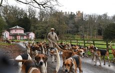 Belvoir-kennels-21.12.1766075_162623971_247131601.jpg