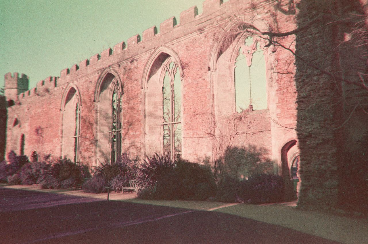 Lomography Simple Use Reloadable Film Camera LomoChrome Purple