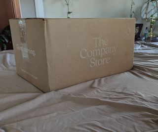 A Company Store box on a blanket against a green wall.