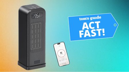 Stay cozy this winter