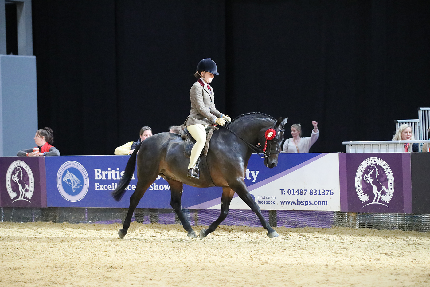WYCROFT BEETHOVEN-Phoebe Thomas-Show Hunter of the Year Championship at HOYS 2021