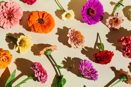 A variety of colourful flowers on a beige background. 