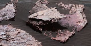 A view of another rock target on Mars, called "Squid Cove," and its immediate surroundings on lower Mount Sharp in Gale Crater. The small polygons near the image's right edge may be cracks from drying mud more than 3 billion years ago. The image is a mosaic of photos taken by the Curiosity Mars rover's Mastcam Dec. 20, 2016.