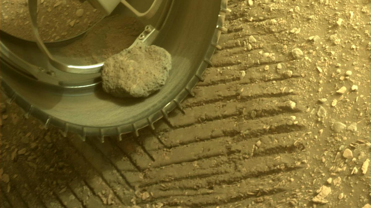 A close-up view of the Mars rover Perseverance pet rock on the left front wheel.