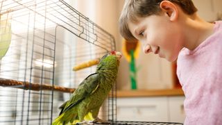 Bird staring at child