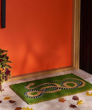 Serpent Doormat outside a red front door.