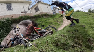 Horse causes major MTB pile-up in Ecuador