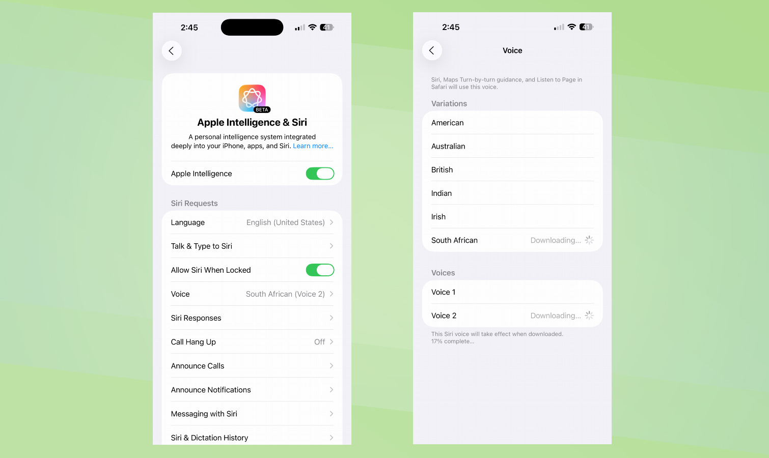 Apple Maps voice options screenshots.