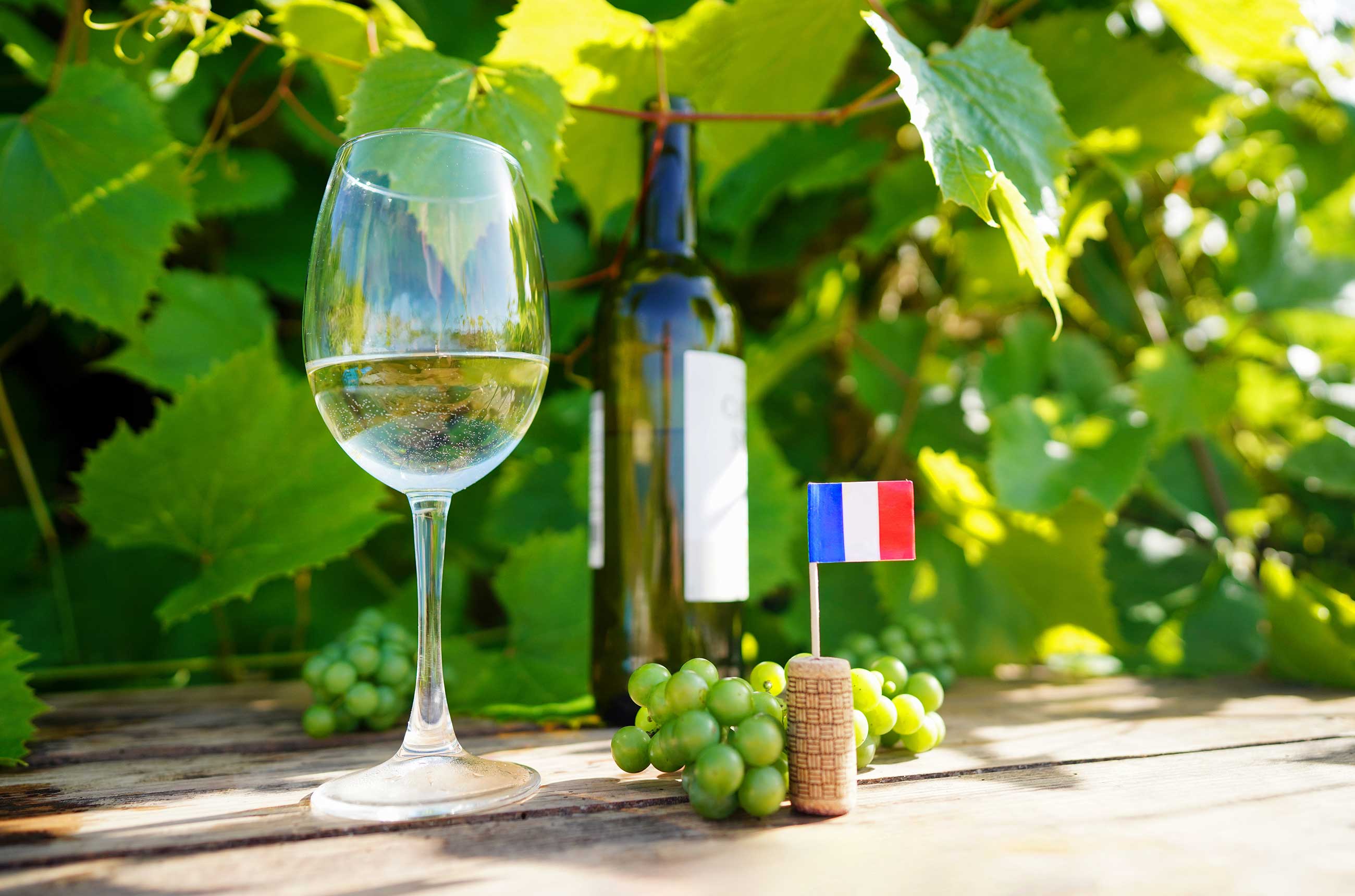 Bastille Day wine
