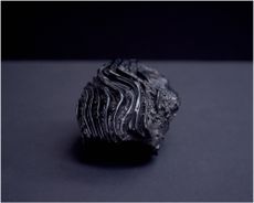 A black bronze cast of microbial dark matter