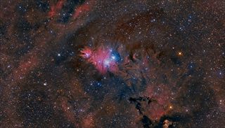 Cone Nebula, Christmas Tree Star Cluster and Fox Fur Nebula by Fields and Hancock