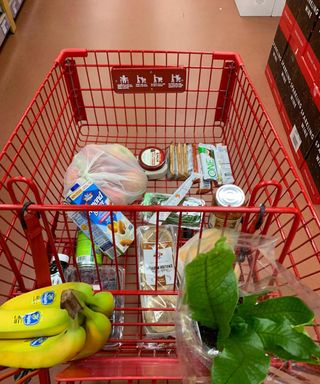 Trader Joes shopping cart