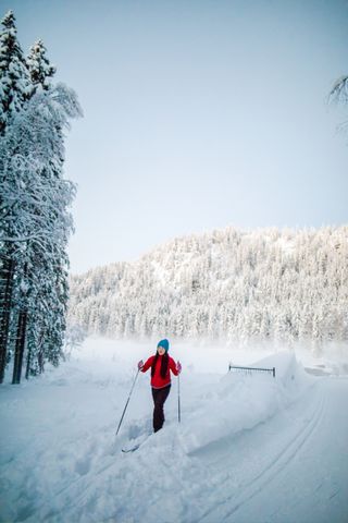 Skiing