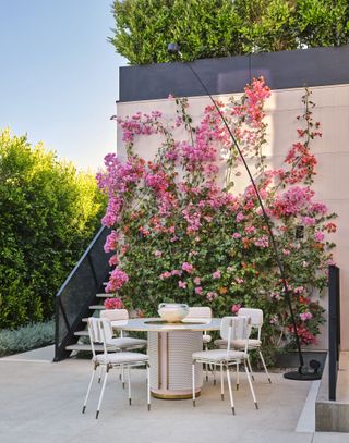 A backyard with pink toned Bougainvillea