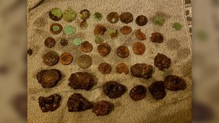 Some of the ancient Roman coins found by the Aa river in the Netherlands, following their discovery and an initial cleaning.