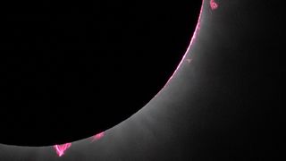 Prominences leap out of the sun during the April 8 total solar eclipse. 