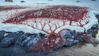 The Blood Falls glaciers, Antarctica