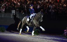 Valegro_Olympia_PN16_9700.jpg