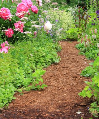 Bark chipping pathway in an english country cottage style garden