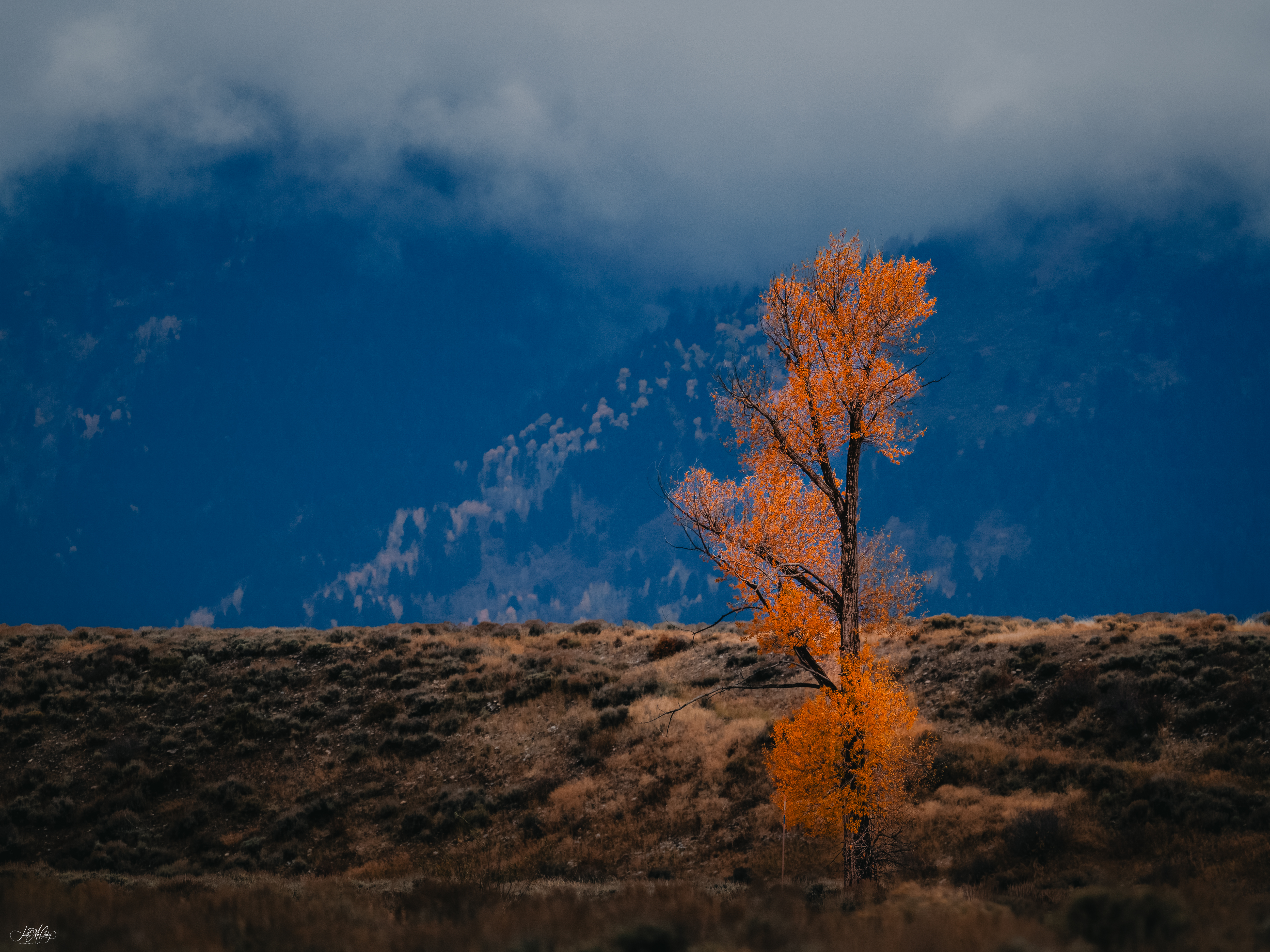 GuruShots - Nature March 2026