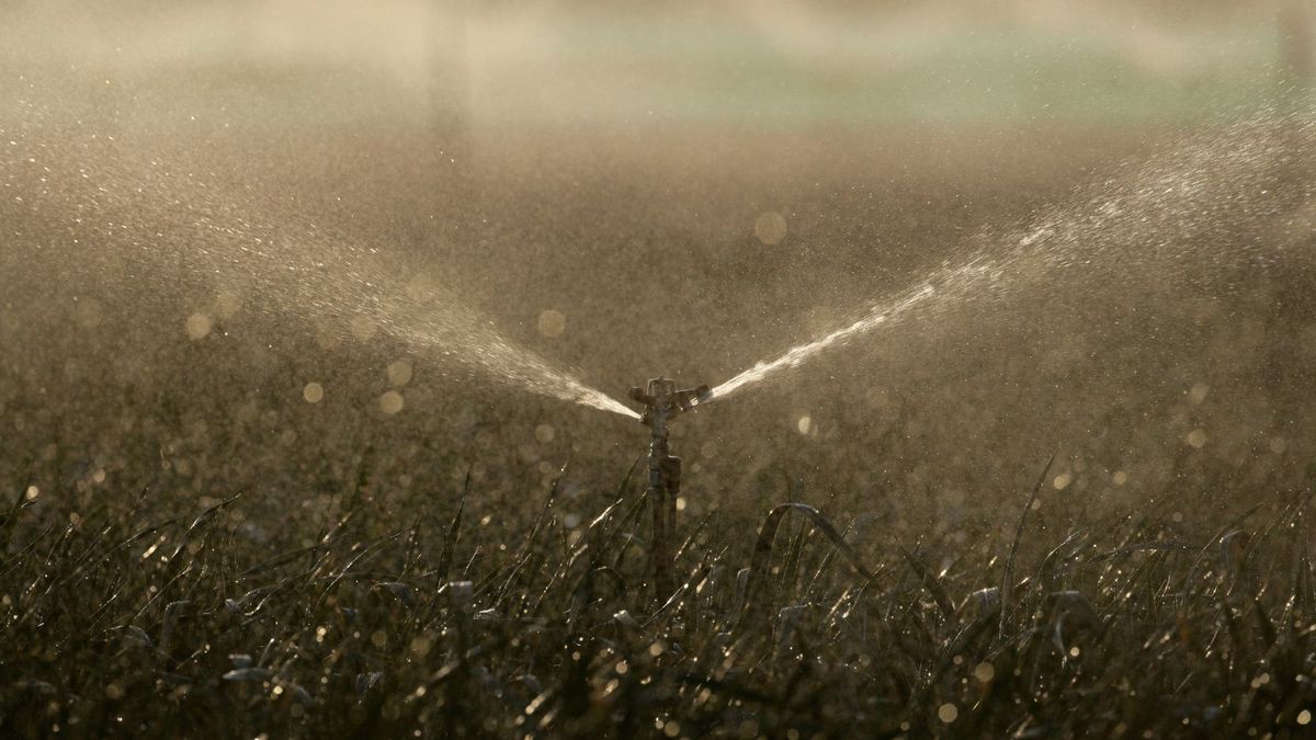 How to blow out a sprinkler system tips for cold weather Homes & Gardens