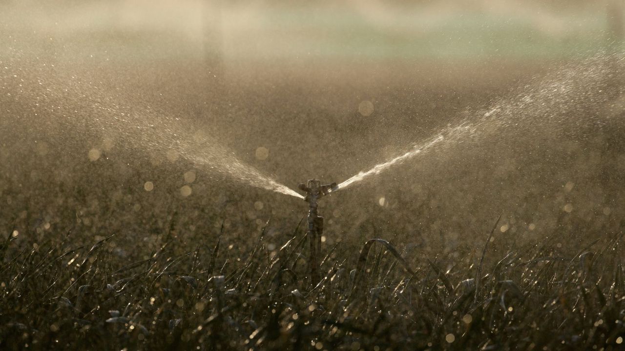 A sprinkler system in grass lawn turned on