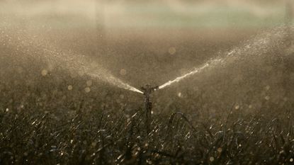 A sprinkler system in grass lawn turned on