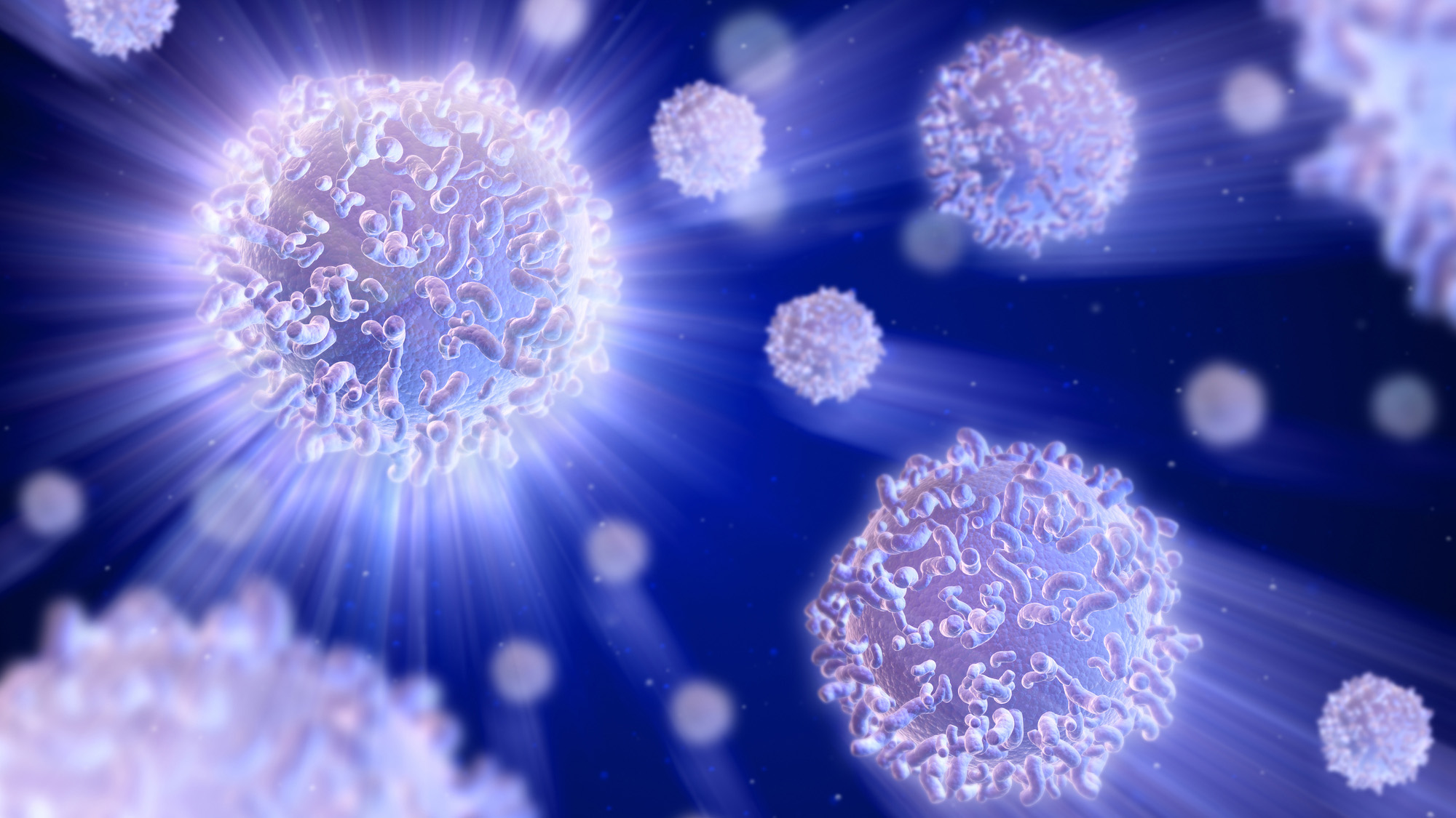 An illustration of a series of spiky cells against a purple background