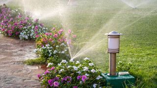 Watering garden with sprinkler