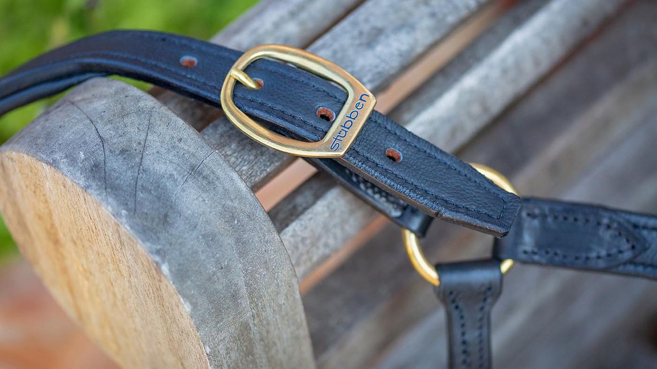 St&uuml;bben leather headcollar review