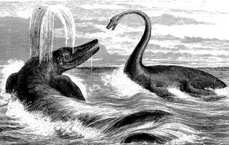 An 1863 illustration of an ichthyosaurus.