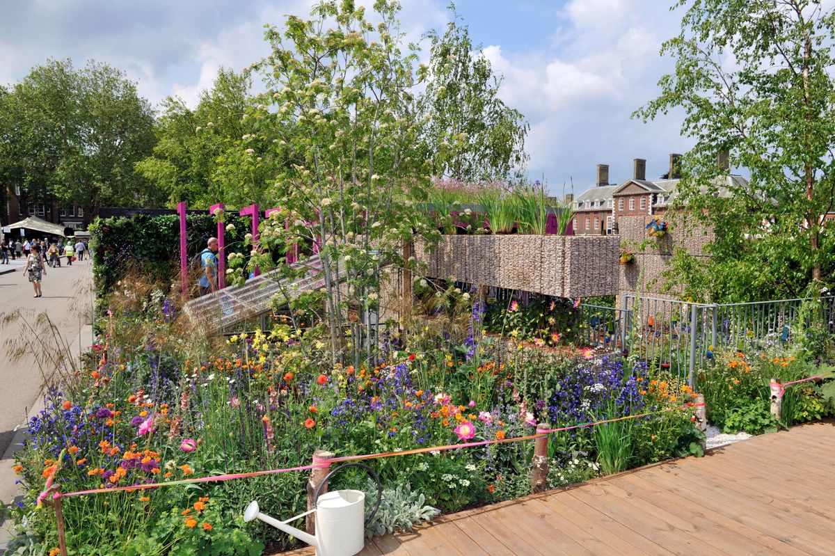 Jody Lidgard's Montessori Centenary Children's Garden takes gold at the Chelsea Flower Show ... on Jody Lidgard
 id=73655