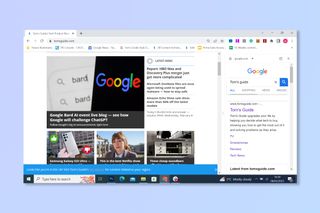 The Chrome search side bar