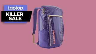 Patagonia Black Hole 32L backpack in purple against pink background