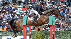 Kentucky Three-Day Event: Tom McEwen and JL Dublin