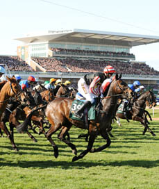 Grand-National.jpg