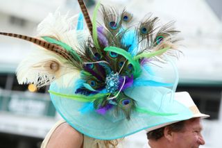kentucky derby ostrich hat