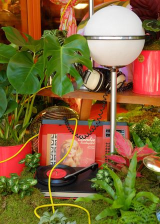 A potted monstera in a bright planter against a retro setting