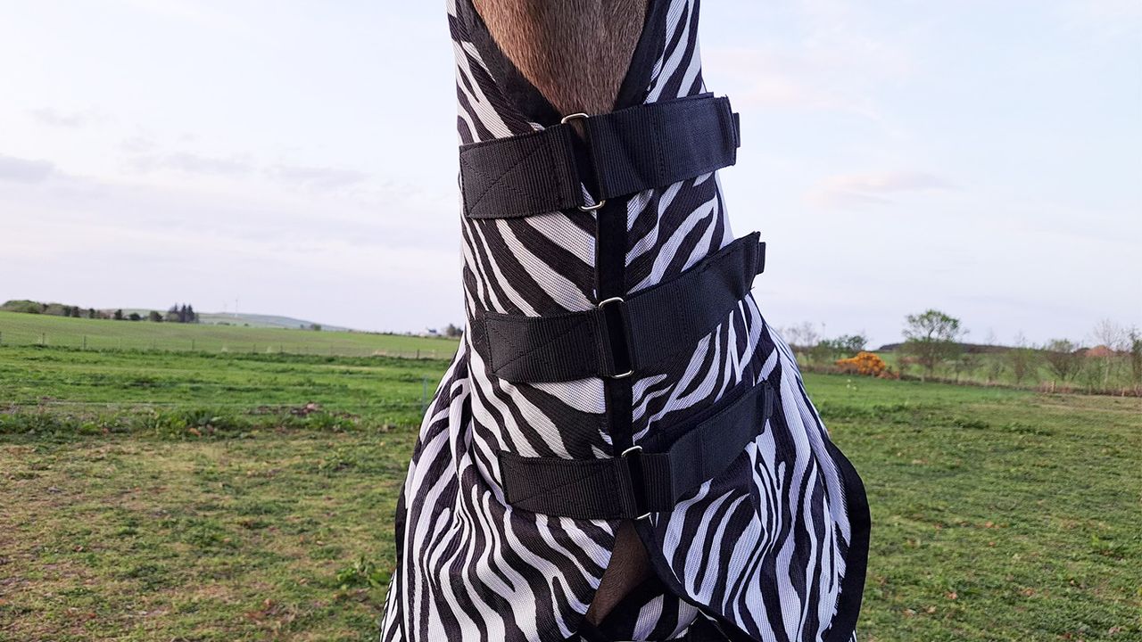 Hy StormX Original Zebra Fly Rug