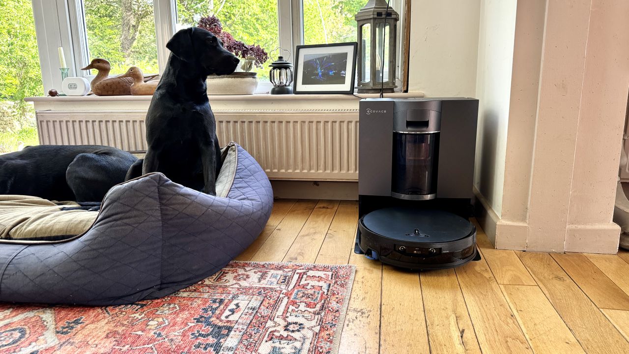 The Ecovacs Deebot X12 OmniCyclone is an impressively inventive robot cleaner that mops very well, but struggles to…