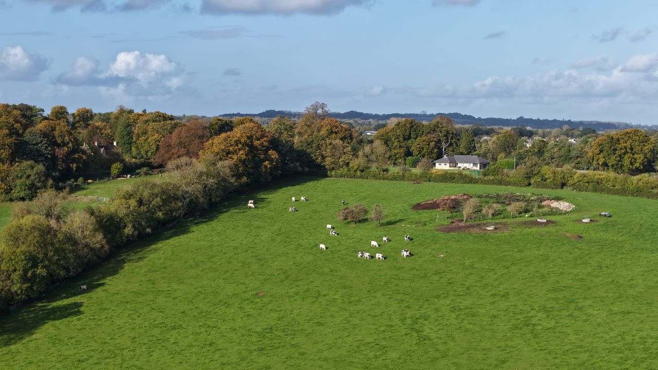 A shot of cows in a distant field, taken with a DJI Air 3S drone