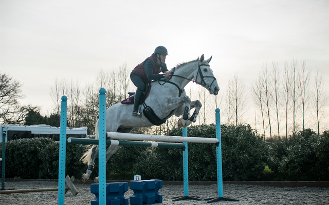 Polework-and-Grid-bottom-Image