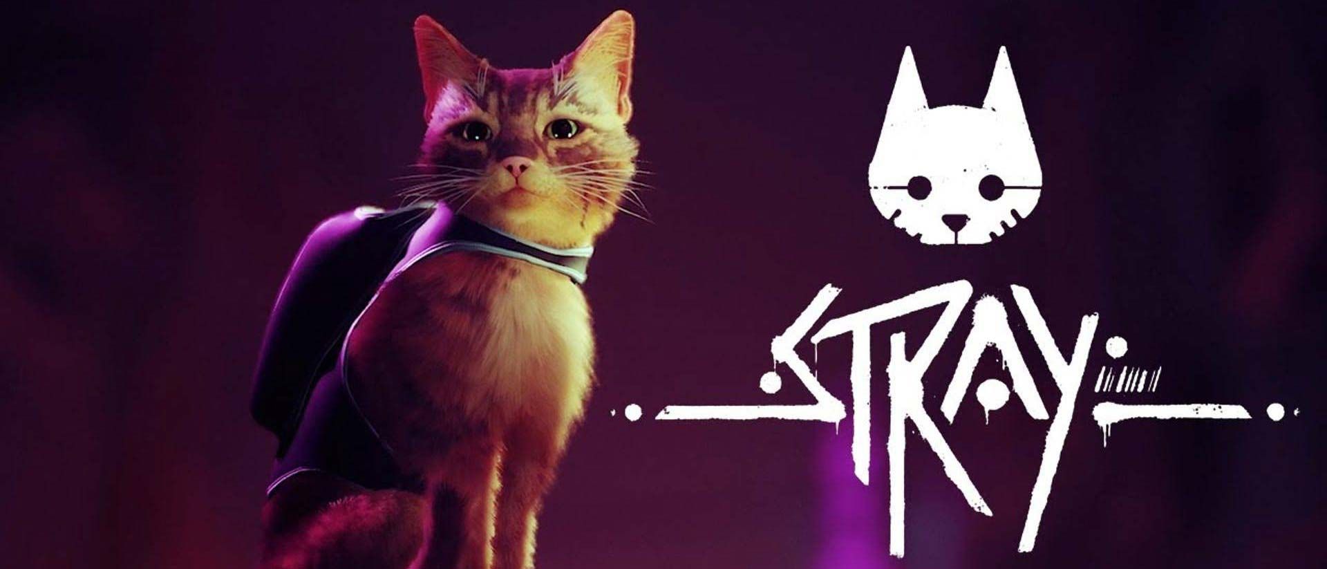 Игра stray про кота