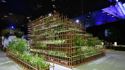 A designer show garden made into a grid shape and planted vertically